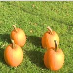 How to Store Pumpkins