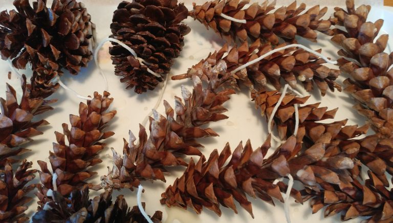 How to Make Pine Cone Fire Starters