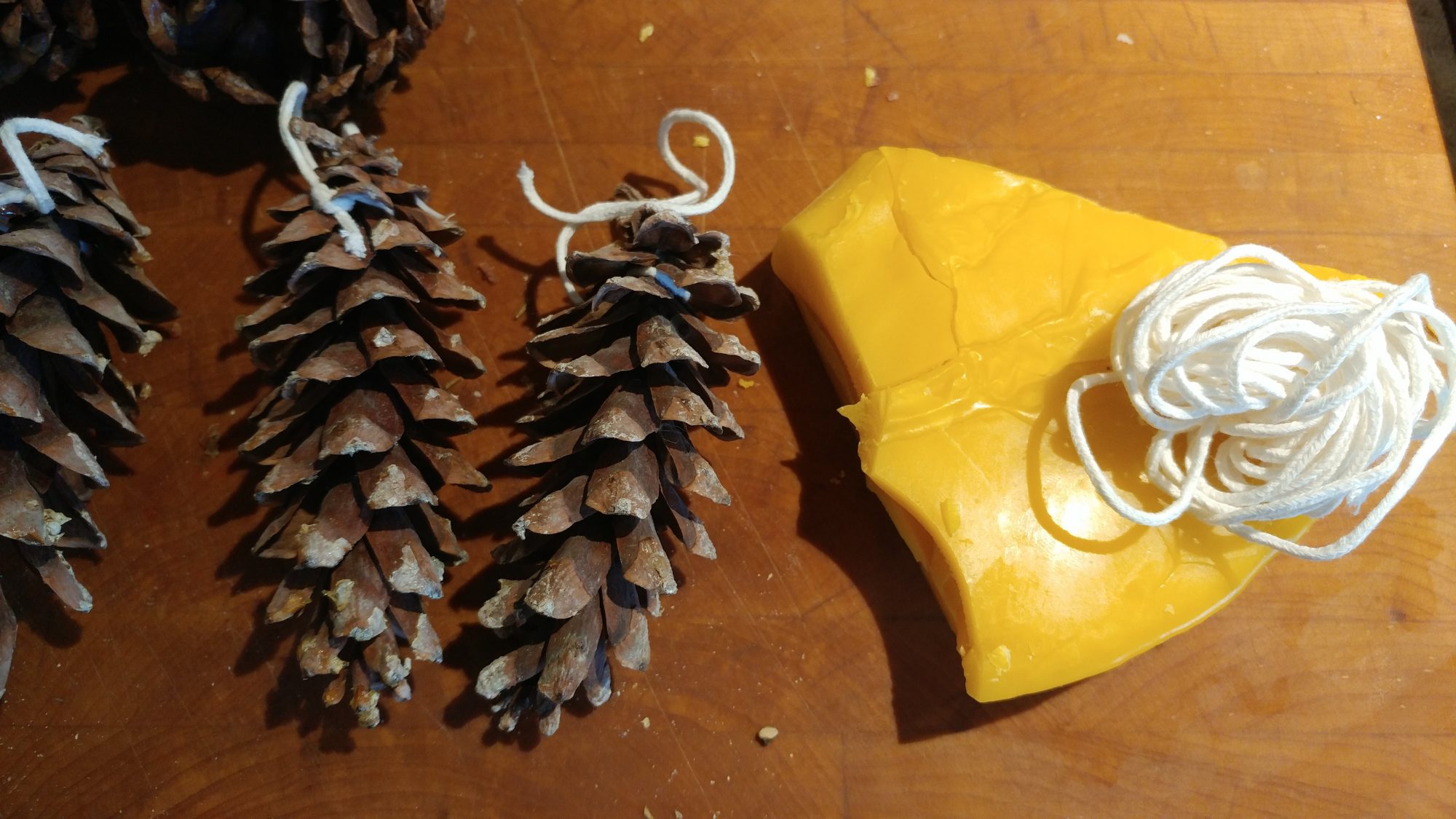How To Make Pine Cone Fire Starters