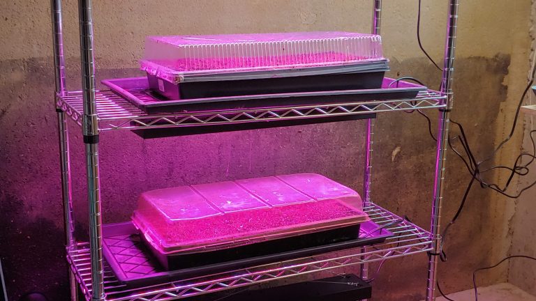 How to Build a Grow Light Stand
