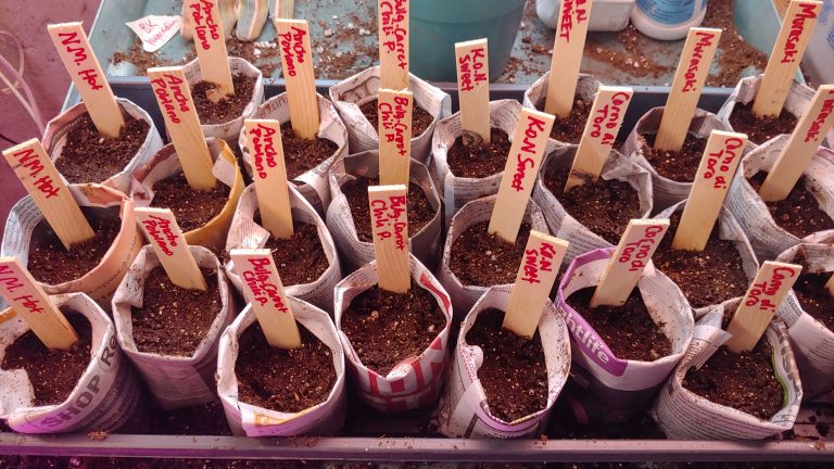How to Make and Use Newspaper Seed Starting Pots