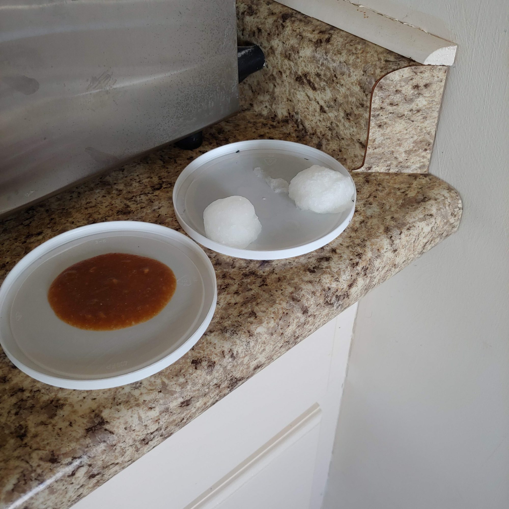 How To Make A Borax Ant Trap