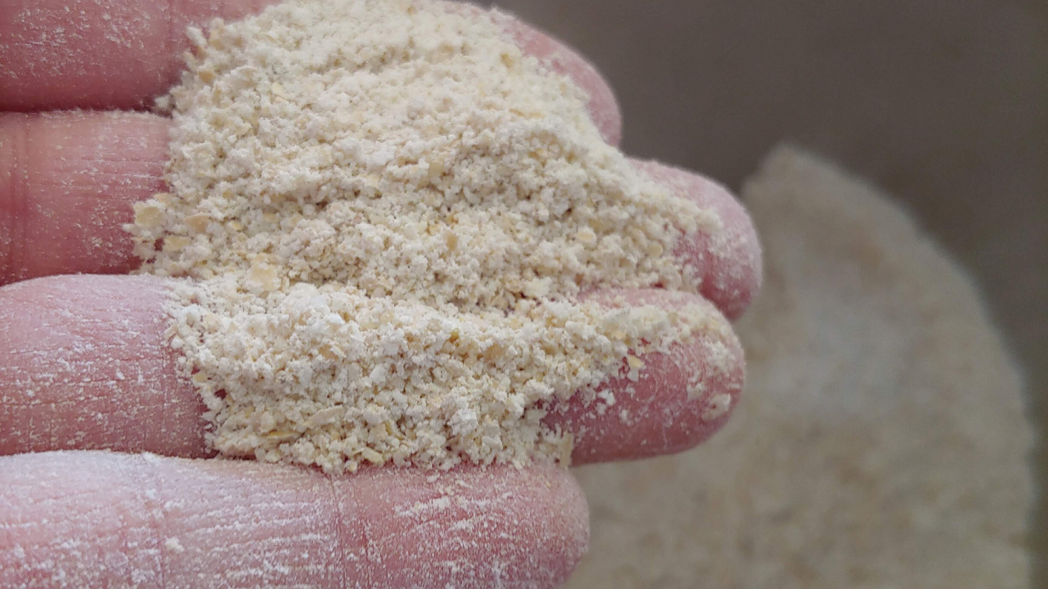 How To Grind Flour At Home