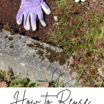How to Reuse Old Potting Soil