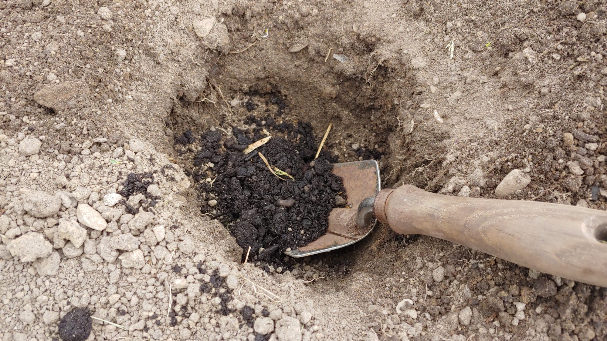 How To Amend Clay Soil For Gardening