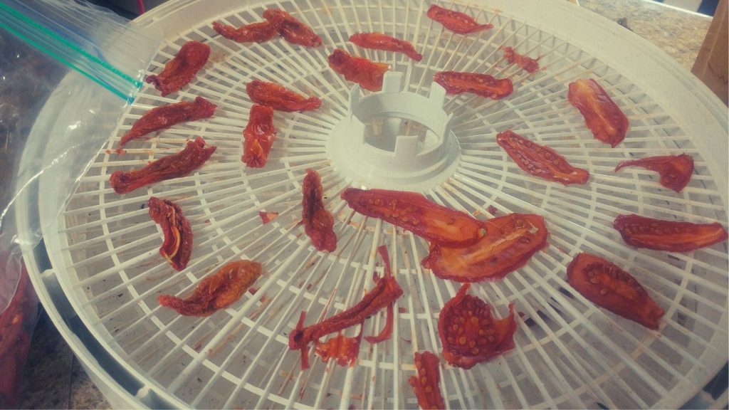 how to choose a food dehydrator