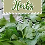 How to Dry Fresh Herbs