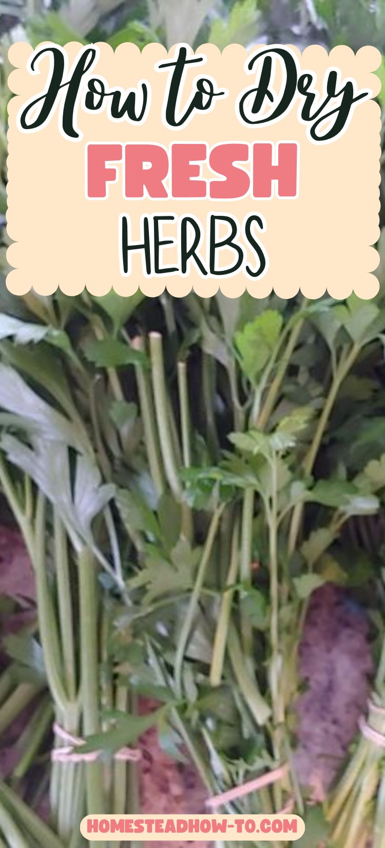 How To Dry Fresh Herbs