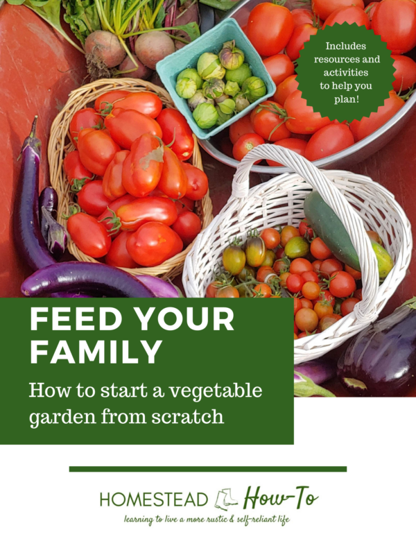 Preparing Your Vegetable Garden For Winter: Fall Garden Checklist