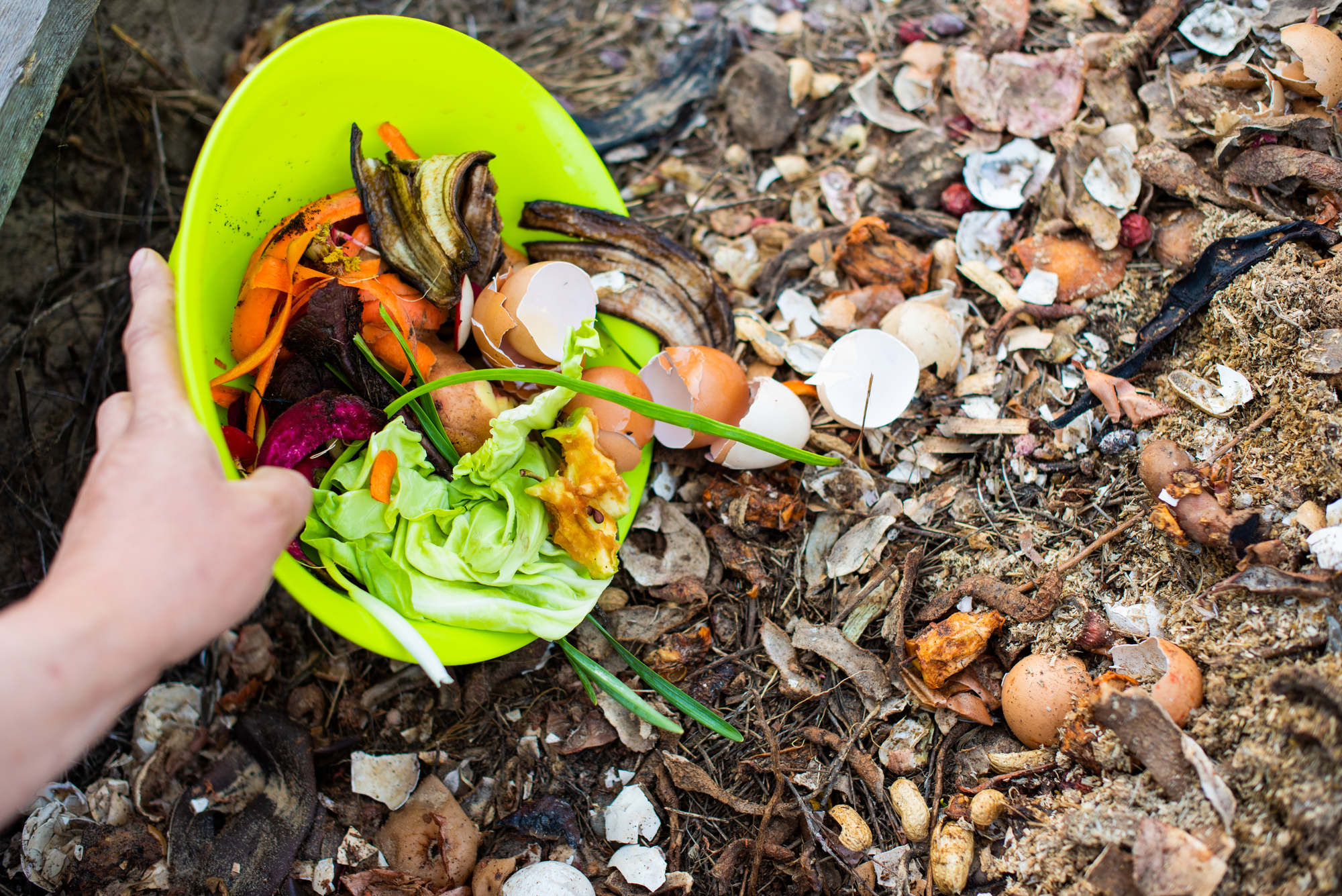 12 Clever Ways To Use Up Leftover Orange Peels