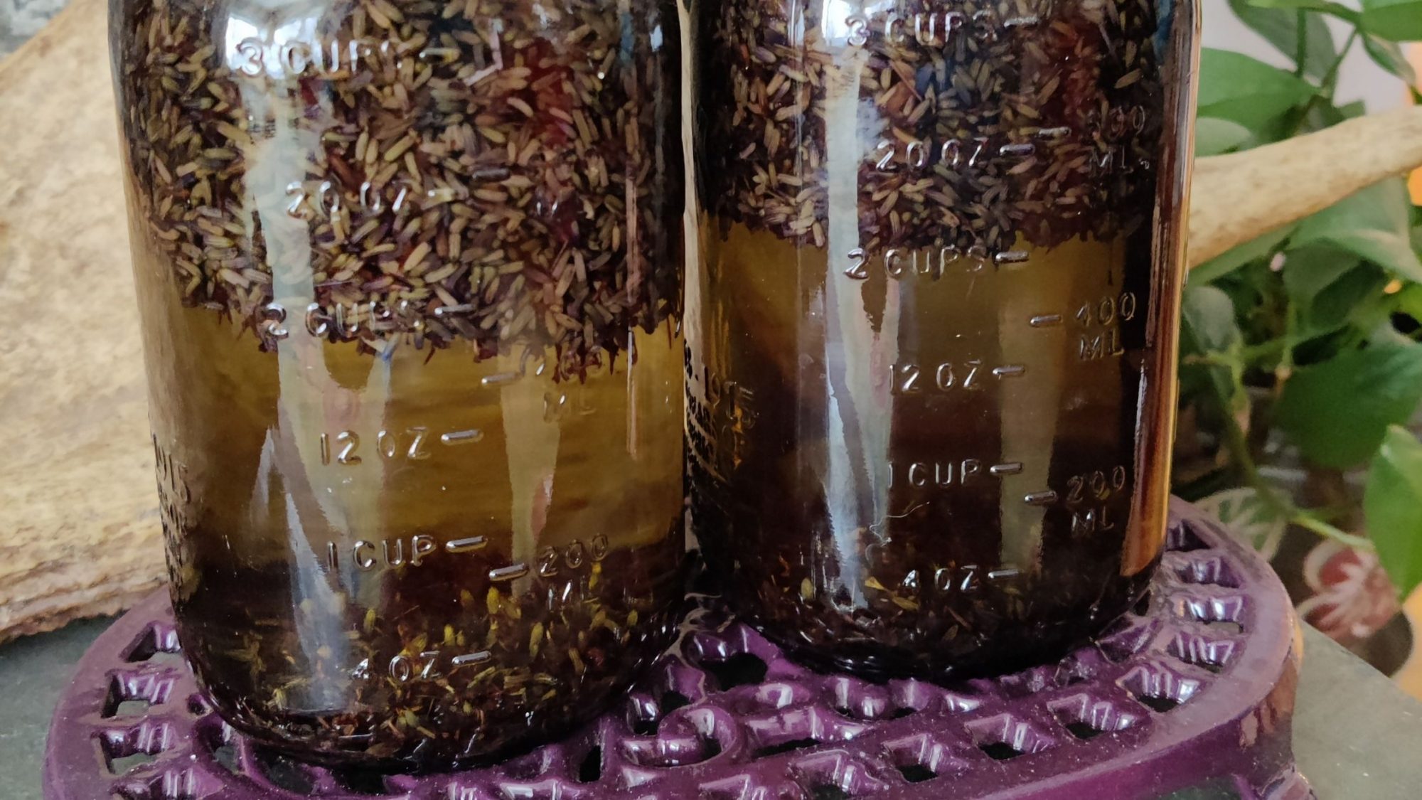 lavendar buds in carrier oil drying