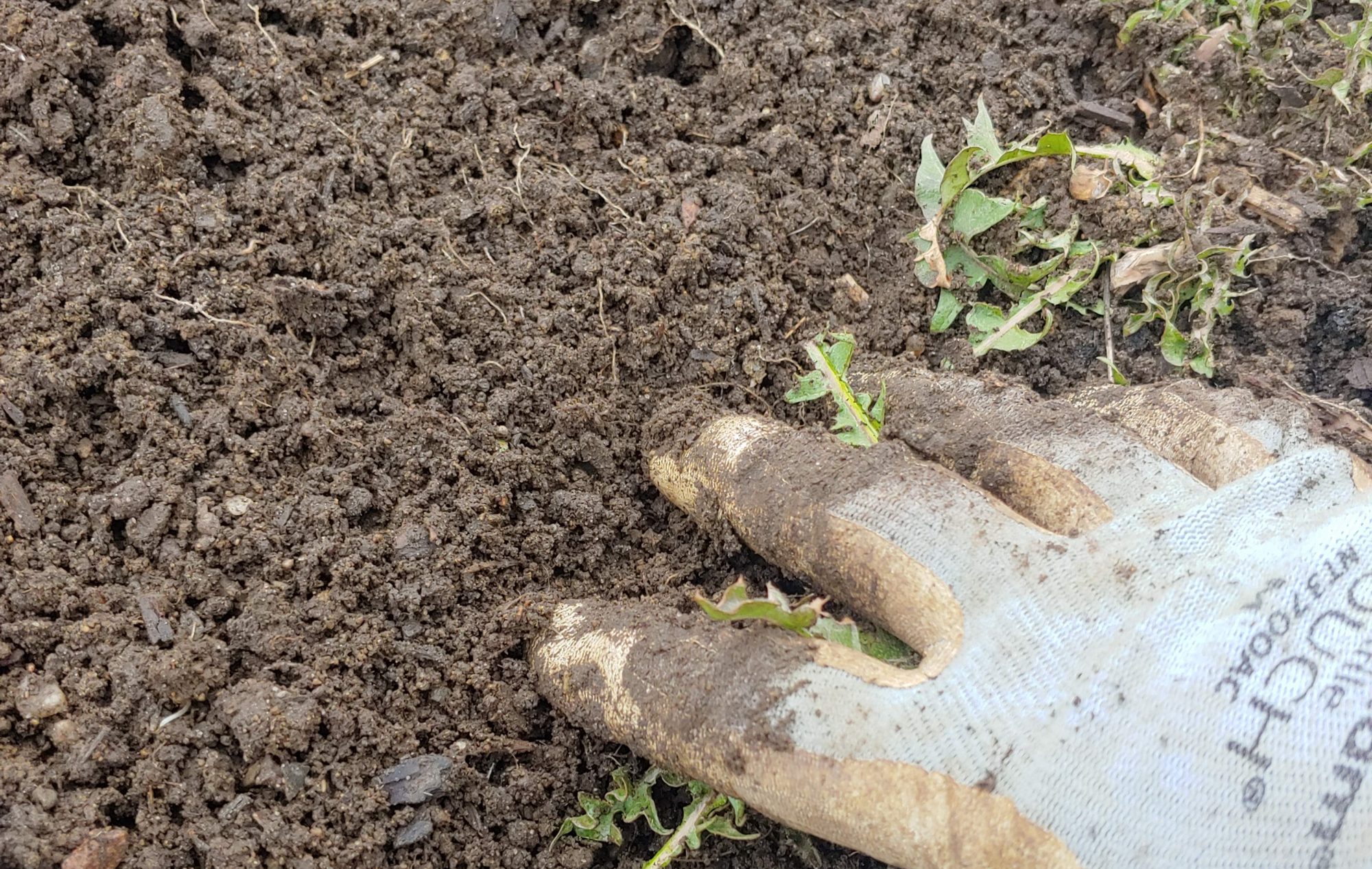 how to test your garden soil