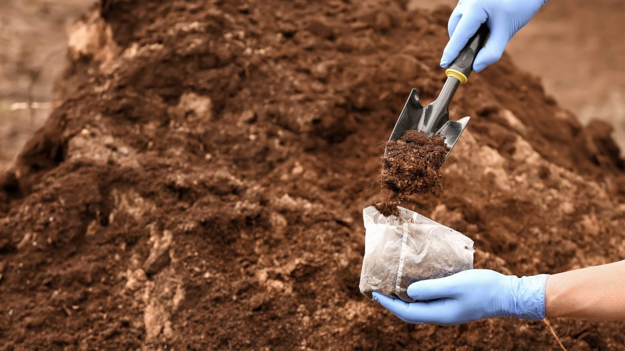 testing your soil for nitrogen