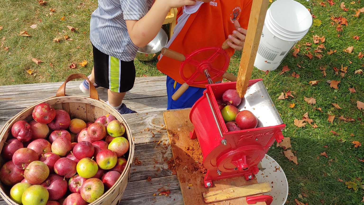 How To Make Apple Cider With A Cider Press