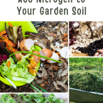 10 Natural Ways to Add Nitrogen to Your Garden Soil