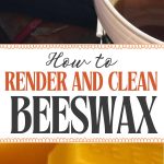How to Render and Clean Beeswax