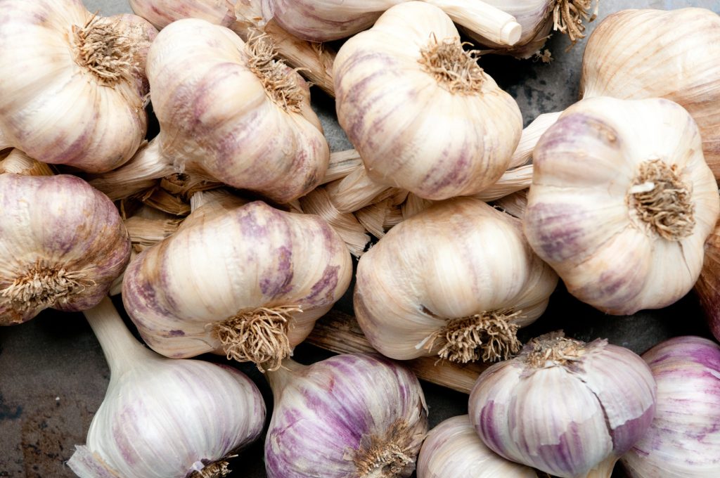 16 Perennial Vegetables You Plant Once That Return Every Year 9 Depositphotos 469780648 L