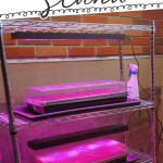 How to Build a DIY Grow Light Stand