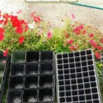 How to Clean Your Seed Starting Equipment