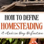 How to Define Homesteading A Modern Day Definition