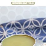 How to Make Homemade Goldenrod Salve