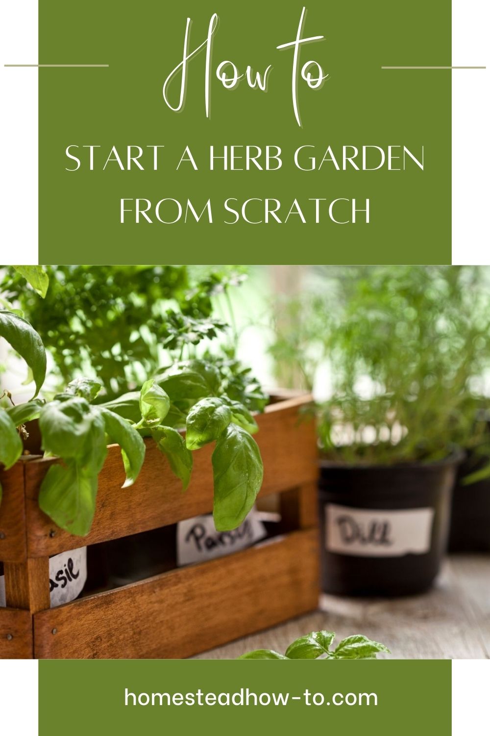 How To Start A Herb Garden From Scratch