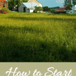 How to Start Homesteading for Beginners pin
