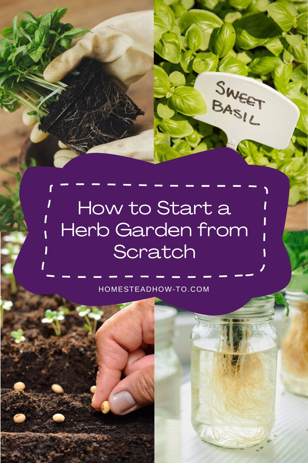 How To Start A Herb Garden From Scratch