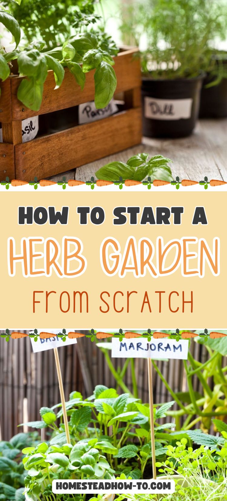How To Start A Herb Garden From Scratch