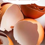 How to Use Eggshells in the Garden