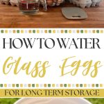 How to Water Glass Eggs for Long Term Storage