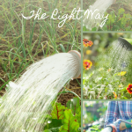 How to Water Your Garden The Right Way