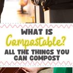 What is Compostable All The Things You Can Compost
