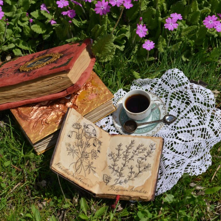 14 Best Gardening Books for Beginners