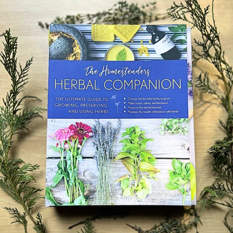 10 Best Herbal Books for Beginners