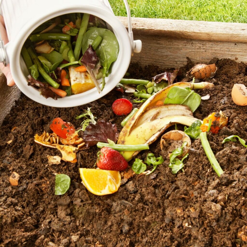 adding fresh peelings of vegetables and fruits to a compost
