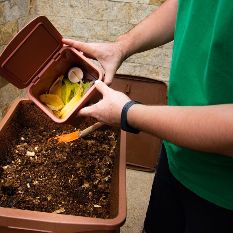 What Is Compostable? All The Things You Can Compost