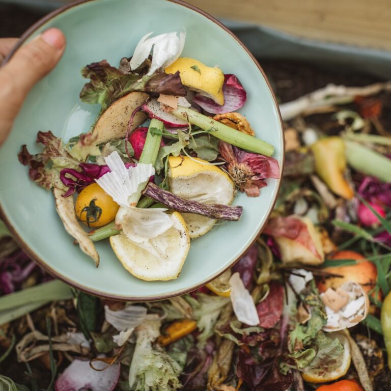 Composting Made Easy: A Simple Guide to Transforming Kitchen Waste into Gold for Your Garden