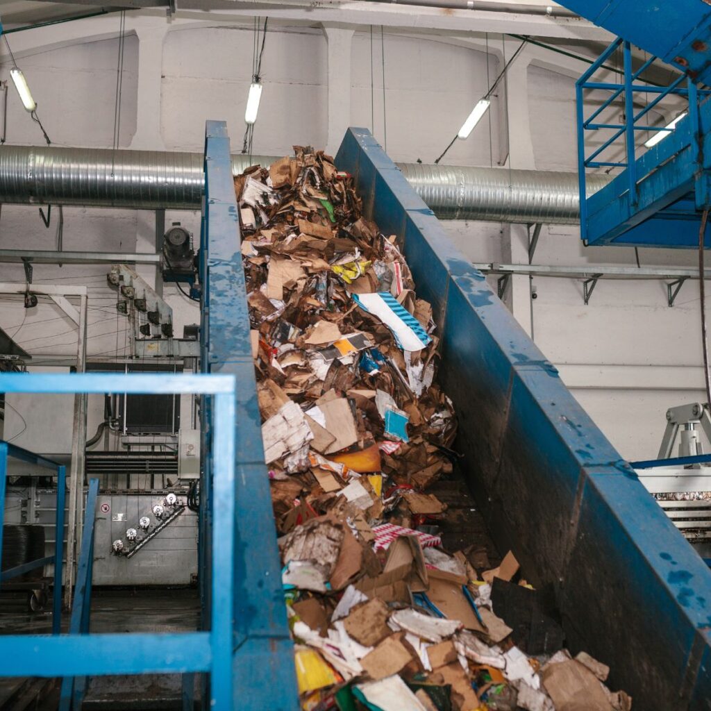 recycling process of card boards