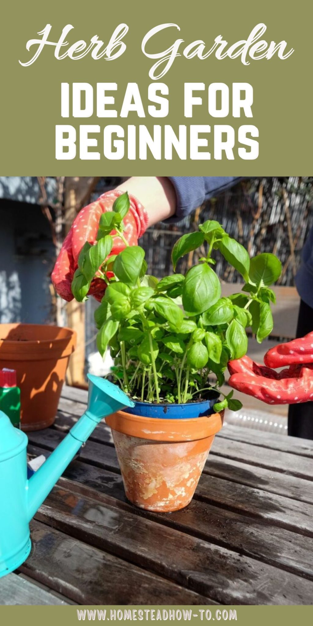 How To Start A Herb Garden From Scratch