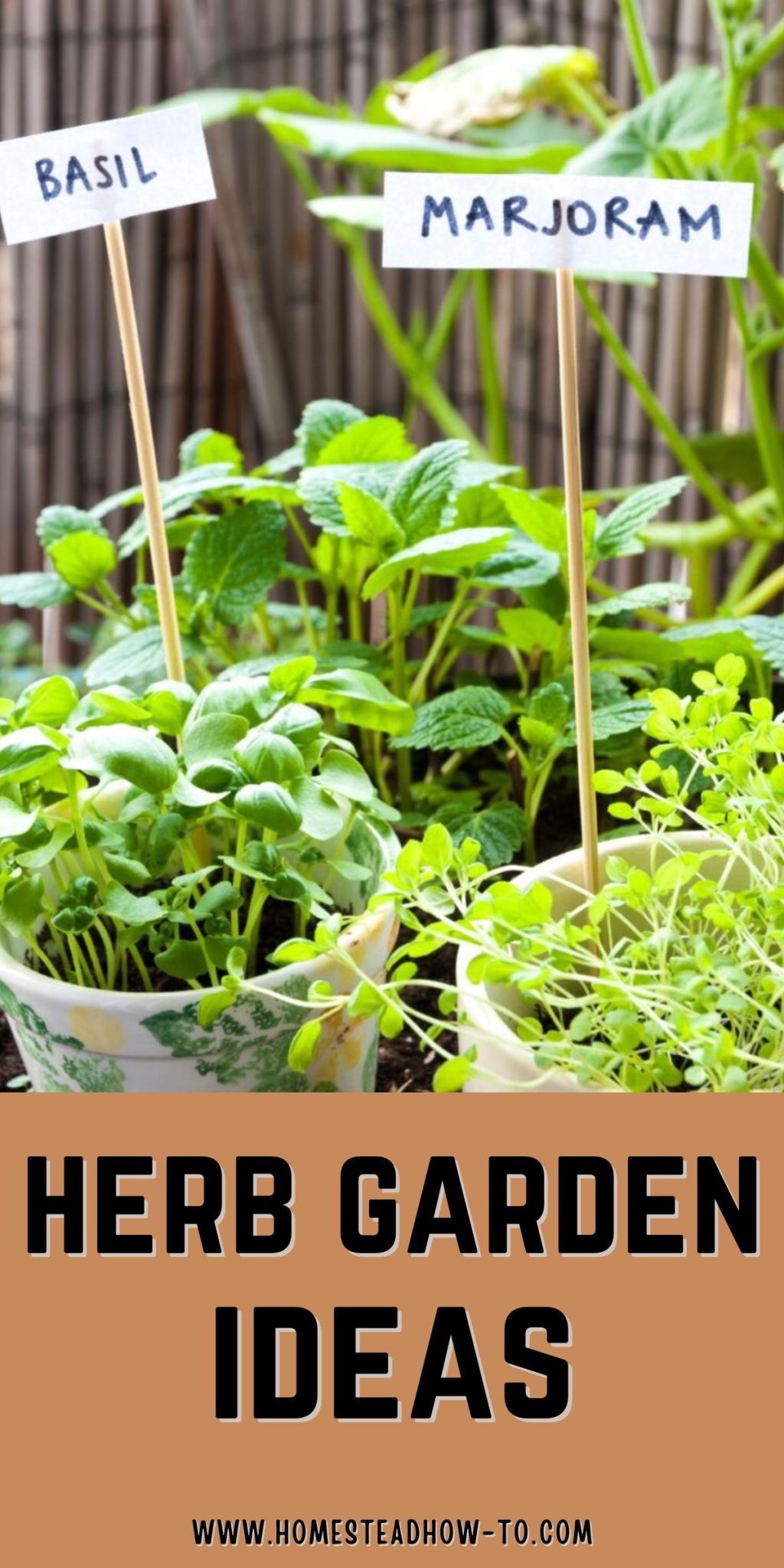 How To Start A Herb Garden From Scratch