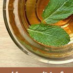 how to make mint tea with fresh mint leaves