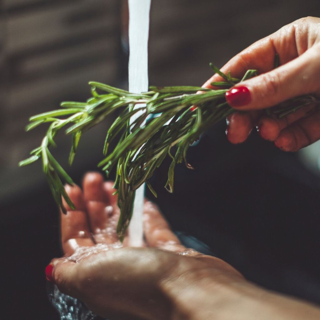 rinsing rosemary in a cool water