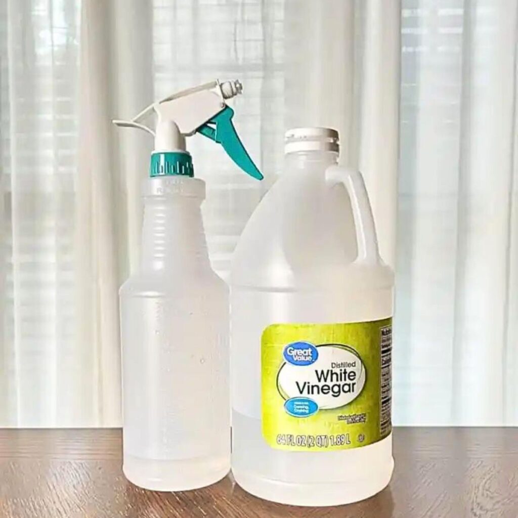 vinegar next to spray bottle