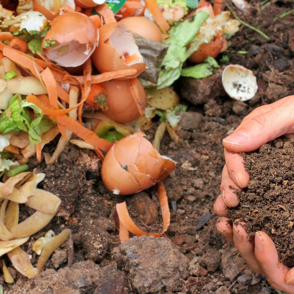 a person is holding soil in front of a pile of kitchen waste