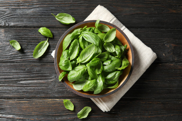 How to Dry Basil – 5 Methods