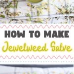 How to Make Jewelweed Salve