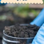 How to Test Your Garden Soil