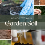How to Test Your Garden Soil