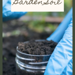 How to Test Your Garden Soil2